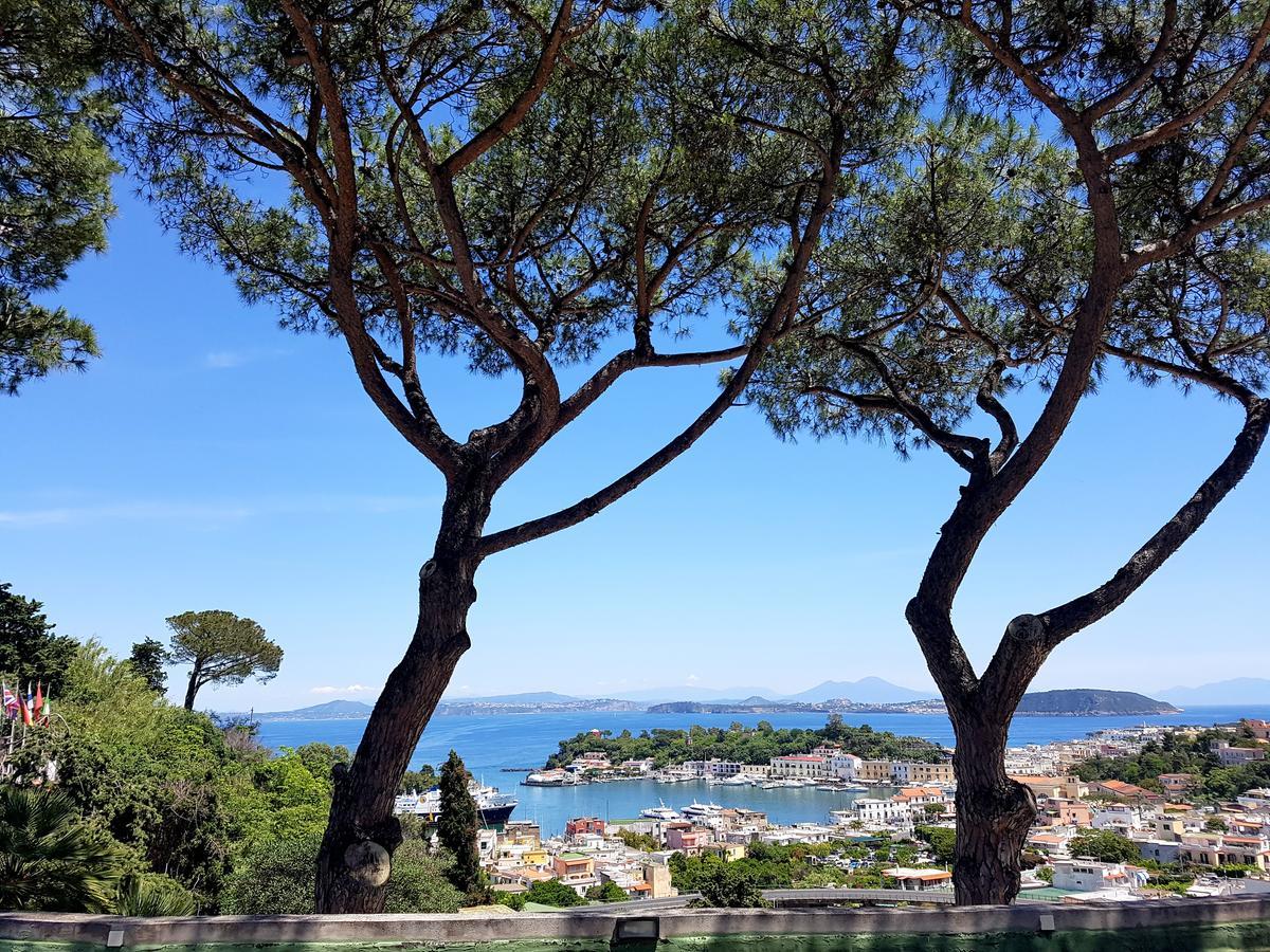 Ischia Dream Visions公寓 外观 照片