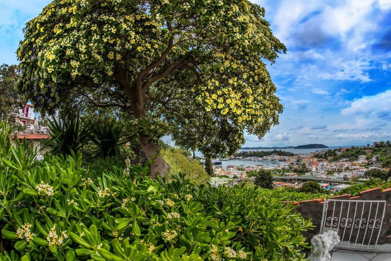 Ischia Dream Visions公寓 外观 照片