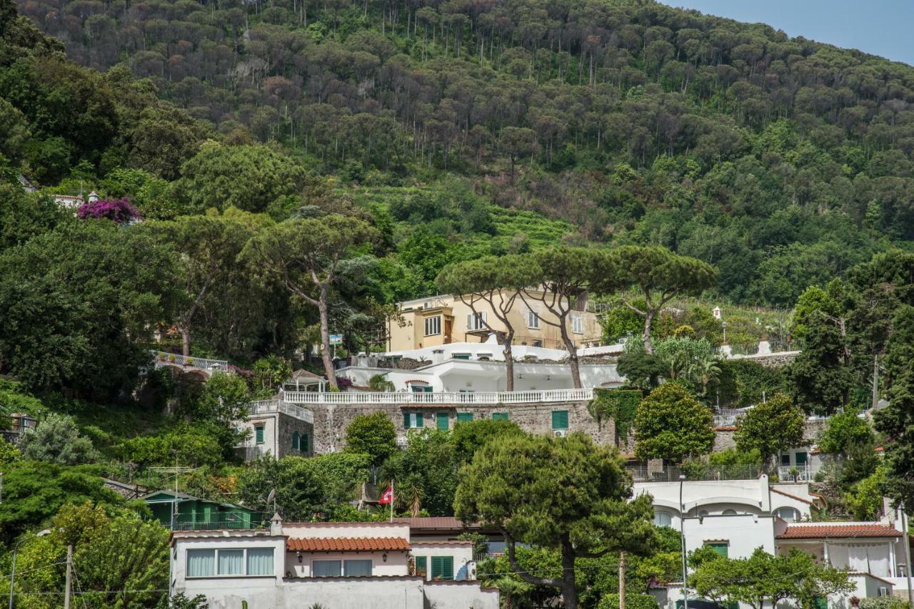 Ischia Dream Visions公寓 外观 照片